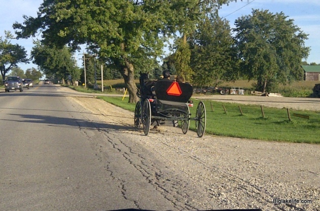 Mennonite buggy